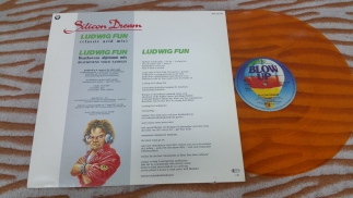 Silicon Dream 	1989	Ludwig Fun (Classic Acid Mix)	Blow Up 	Germany	