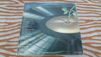 Strawbs	1976	Deep Cuts	Oyster, Polydor	Canada