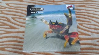 Prodigy	1997	The Fat Of The Land	XL Recordings	EU	