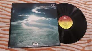 Peter Green 	1979	In The Skies	Creole 	Germany