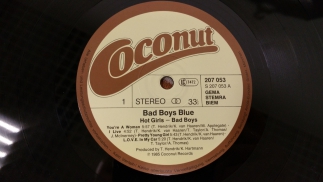 Bad Boys Blue	1985	Hot Girls, Bad Boys	Coconut	Germany	